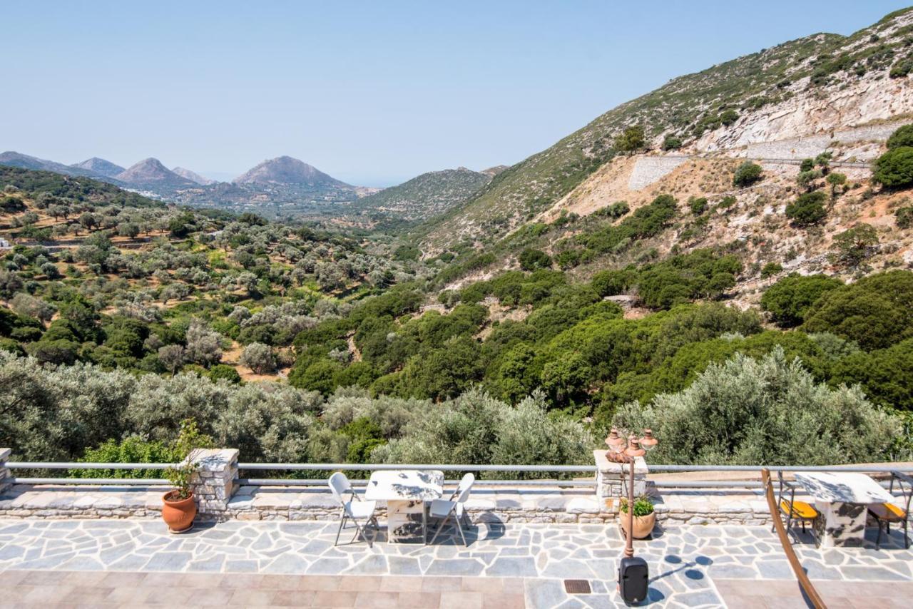 Elaiolithos - Luxury Villa Suites - Adults Only Khalkion Exterior photo