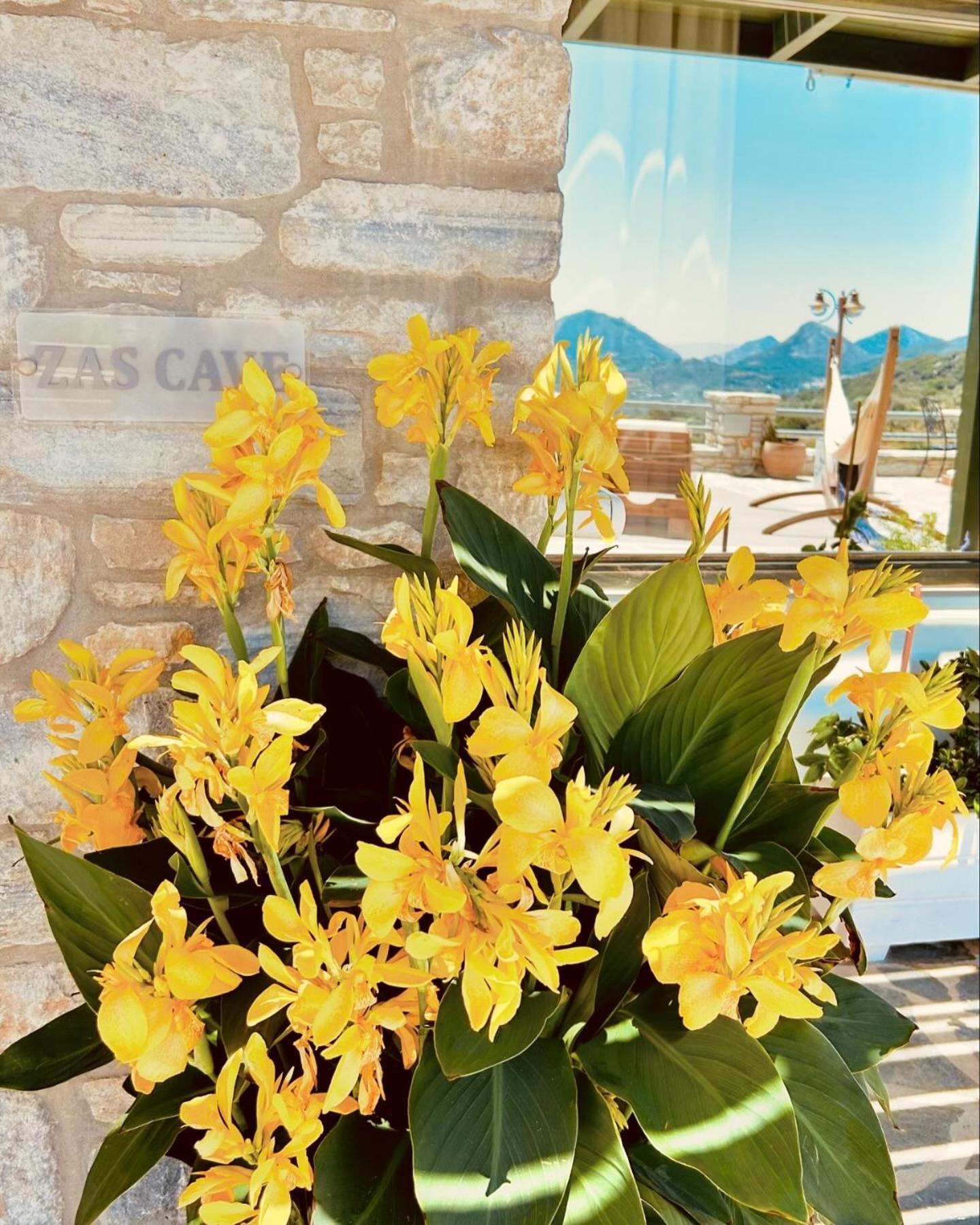 Elaiolithos - Luxury Villa Suites - Adults Only Khalkion Exterior photo